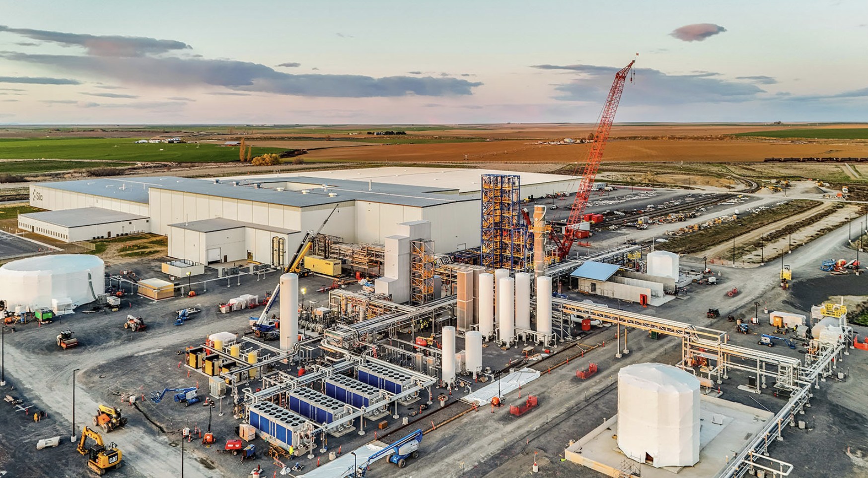 Sila plant